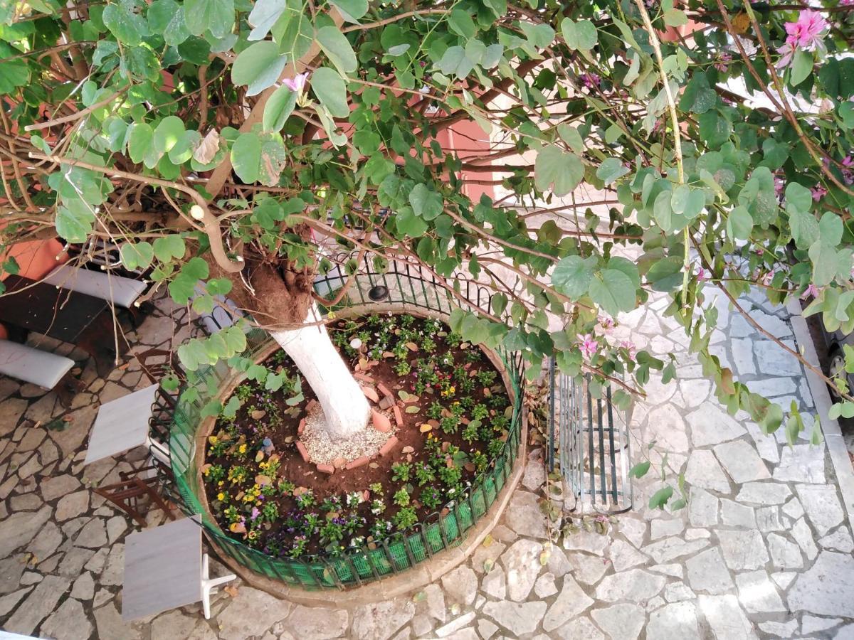 Lilliput Studio Corfu Old Town Exterior foto